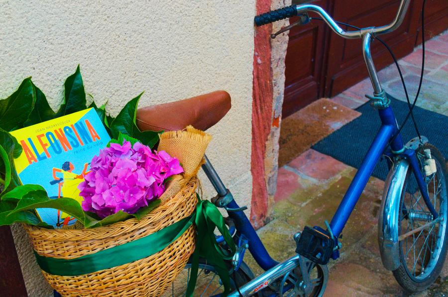 Local à vélo